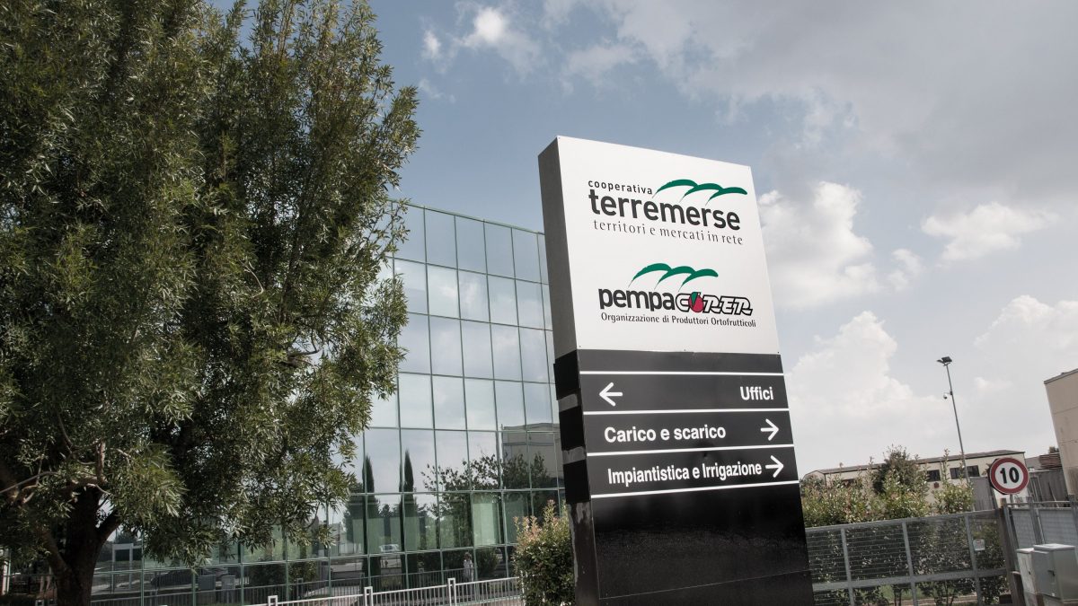 Terremerse: 167 milioni il fatturato consolidato 2018