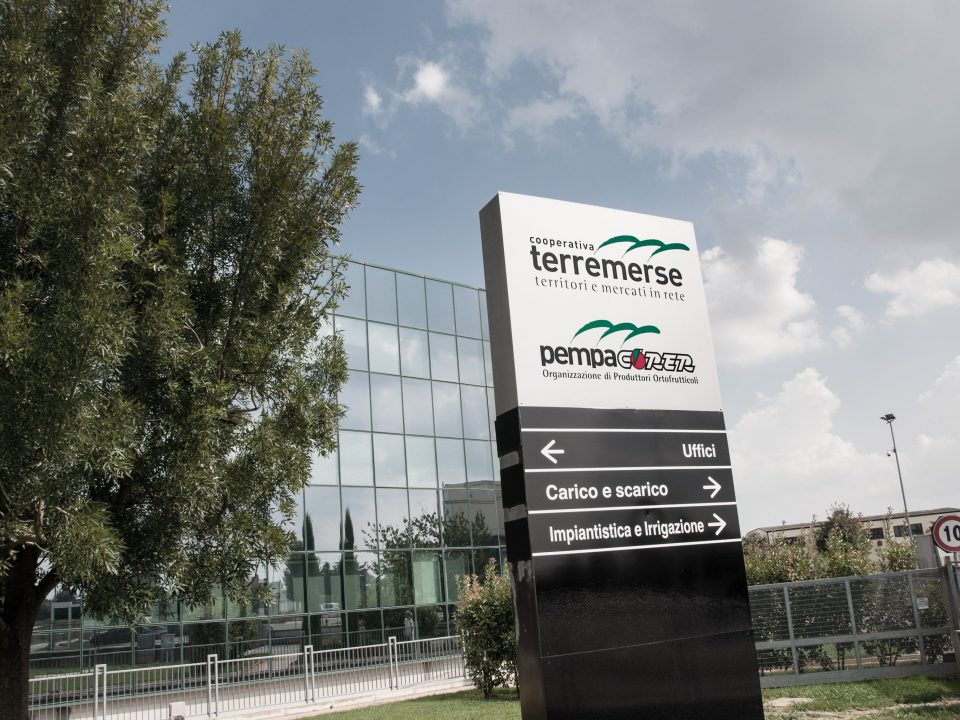 Terremerse: 167 milioni il fatturato consolidato 2018