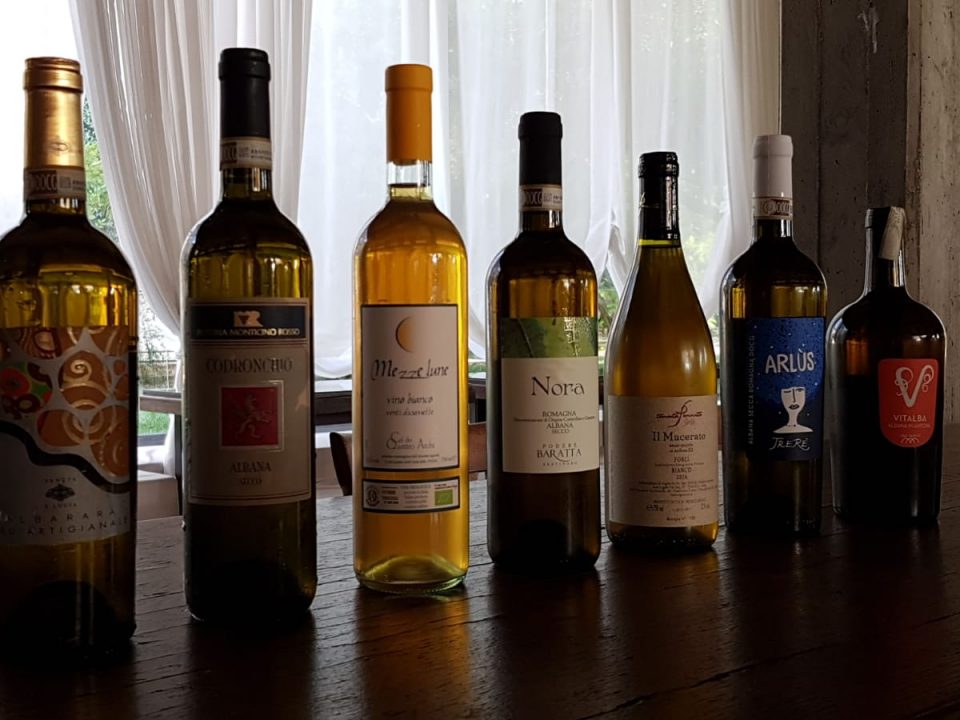 Vitalba, Codronchio, Nora: Albana da premio