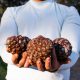 Frutta e Bacche, un brand in evoluzione