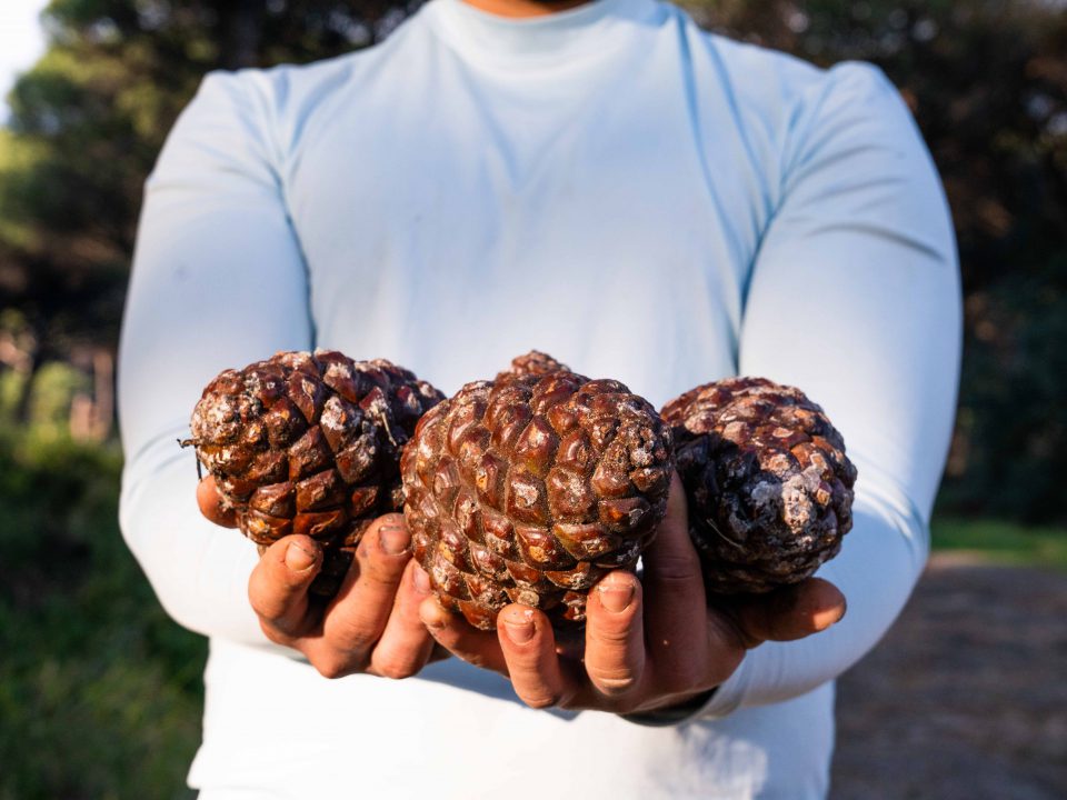 Frutta e Bacche, un brand in evoluzione