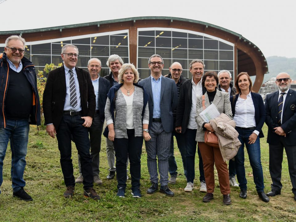 Emilia-Romagna. Una vendemmia 2019 con meno vino, ma di eccellente qualità