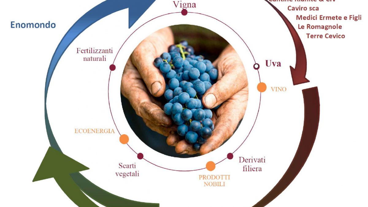 Nasce “Legàmi di Vite”, un importante contratto di sviluppo “green” nel comparto vitivinicolo.