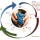 Nasce “Legàmi di Vite”, un importante contratto di sviluppo “green” nel comparto vitivinicolo.