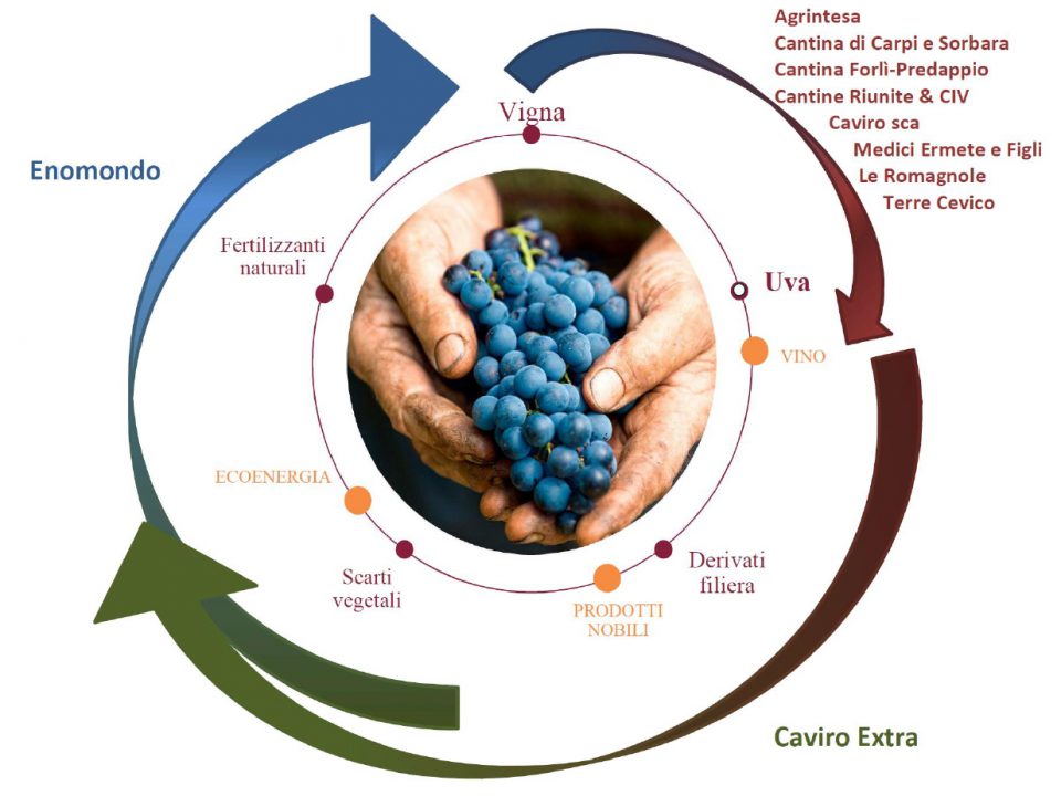 Nasce “Legàmi di Vite”, un importante contratto di sviluppo “green” nel comparto vitivinicolo.