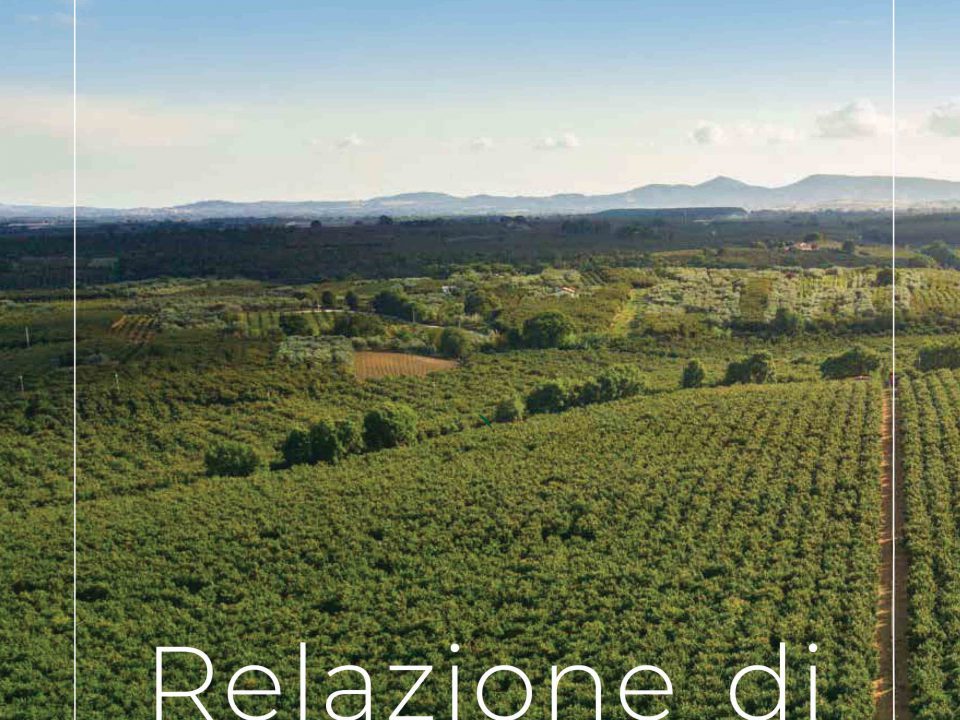 Relazione di Sostenibilità Euro Company