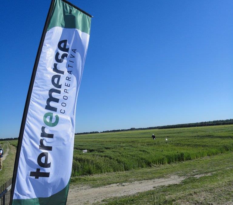 Tra “sorprese” e conferme, molto positivo il bilancio 2020 di Terremerse