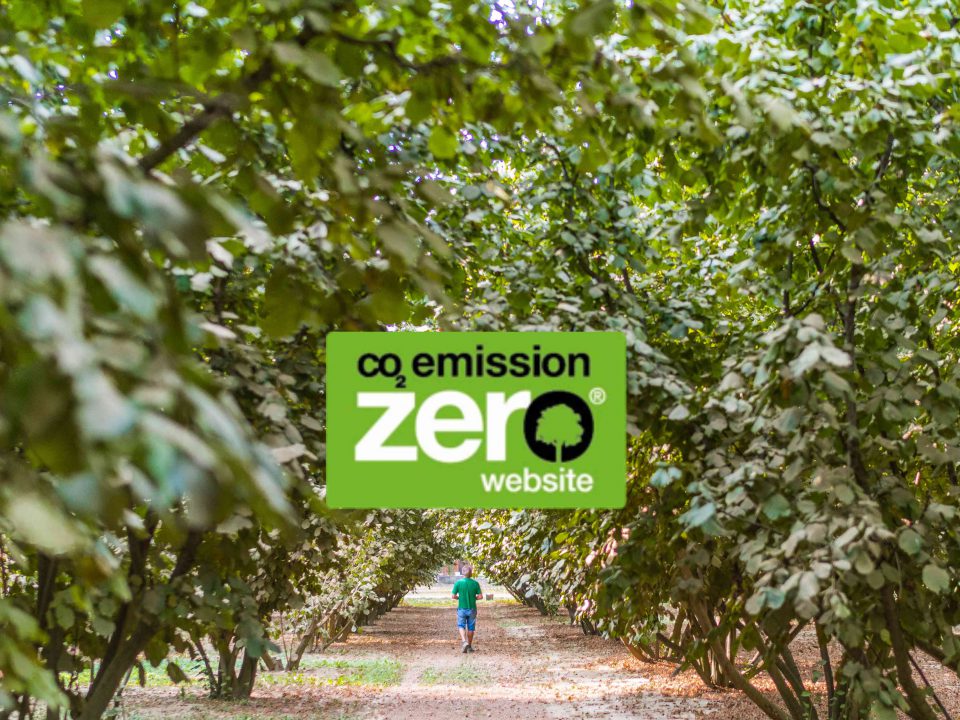 Fruttaebacche.it è il primo sito di frutta secca a neutralizzare le emissioni di CO2