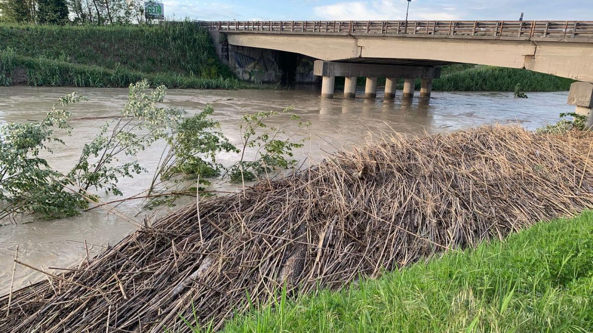 L’Ordine dei Dottori Agronomi fa il punto su quanto accaduto con l'alluvione