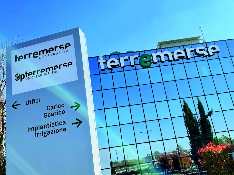 Il fatturato 2022 di Terremerse sale a 288 milioni di euro