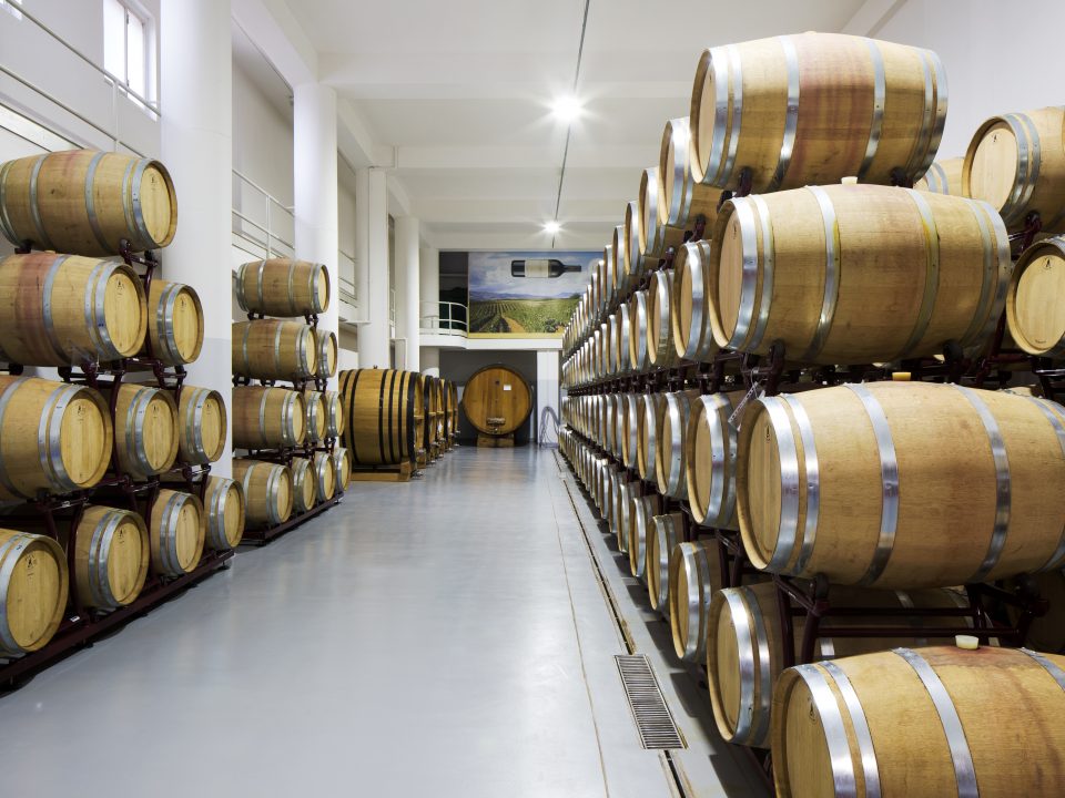 Cantina di Venosa protagonista al 34° Merano WineFestival