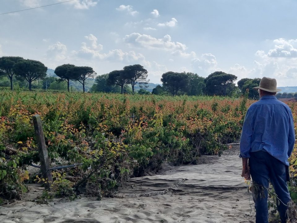 Ricostruzione post-alluvione: l’Ordine degli Agronomi analizza l’ultima ordinanza