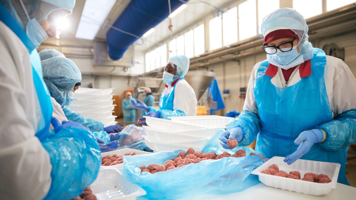 Terremerse sigla un accordo con MA.GE.MA. per il futuro del ramo carni