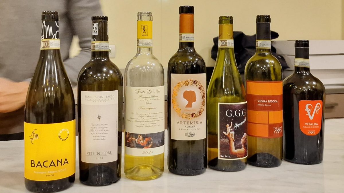 Albana Dèi 2025: la Romagna premia e brinda al suo bianco simbolo